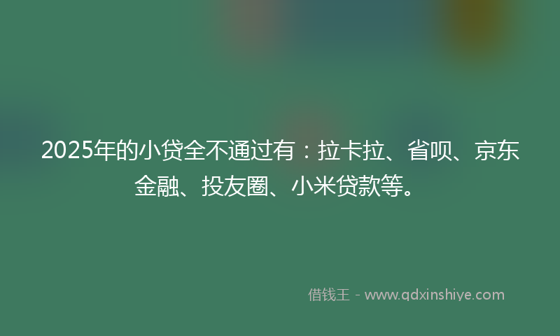 2025年的小贷全不通过有：拉卡拉、省呗、京东金融、投友圈、小米贷款等。