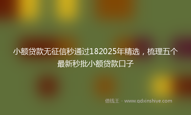 小额贷款无征信秒通过182025年精选，梳理五个最新秒批小额贷款口子
