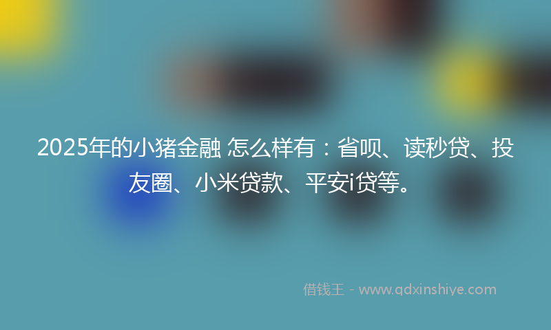 2025年的小猪金融 怎么样有：省呗、读秒贷、投友圈、小米贷款、平安i贷等。