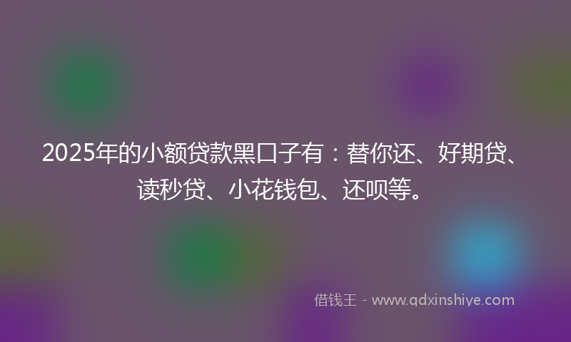 2025年的小额贷款黑口子有：替你还、好期贷、读秒贷、小花钱包、还呗等。