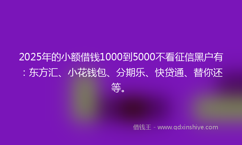 2025年的小额借钱1000到5000不看征信黑户有：东方汇、小花钱包、分期乐、快贷通、替你还等。