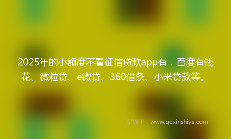 2025年的小额度不看征信贷款app有：百度有钱花、微粒贷、e微贷、360借条、小米贷款等。
