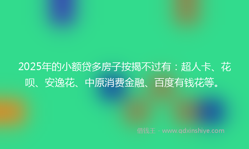 2025年的小额贷多房子按揭不过有：超人卡、花呗、安逸花、中原消费金融、百度有钱花等。