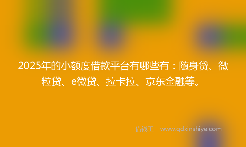 2025年的小额度借款平台有哪些有：随身贷、微粒贷、e微贷、拉卡拉、京东金融等。