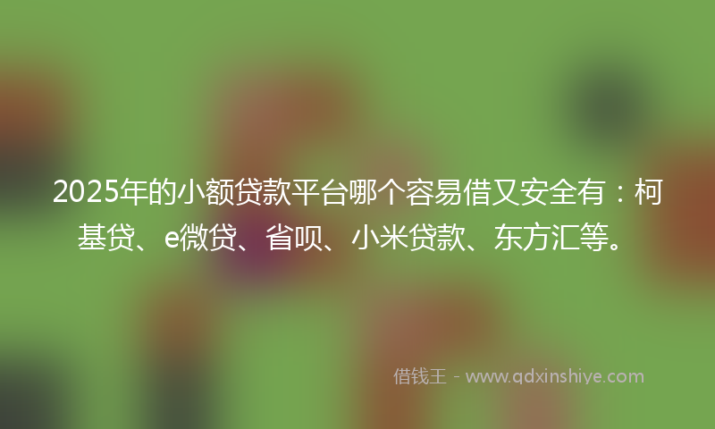 2025年的小额贷款平台哪个容易借又安全有：柯基贷、e微贷、省呗、小米贷款、东方汇等。