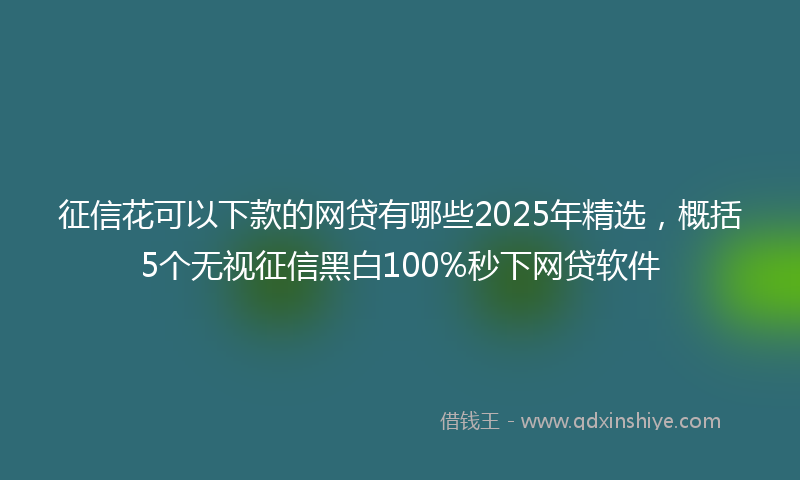 征信花可以下款的网贷有哪些2025年精选，概括5个无视征信黑白100%秒下网贷软件