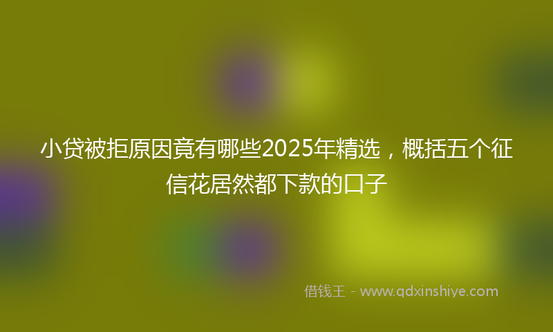 小贷被拒原因竟有哪些2025年精选，概括五个征信花居然都下款的口子