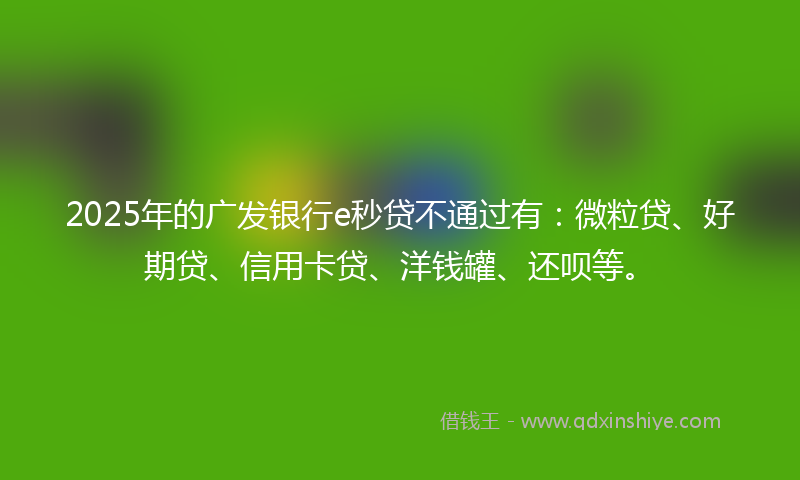 2025年的广发银行e秒贷不通过有：微粒贷、好期贷、信用卡贷、洋钱罐、还呗等。