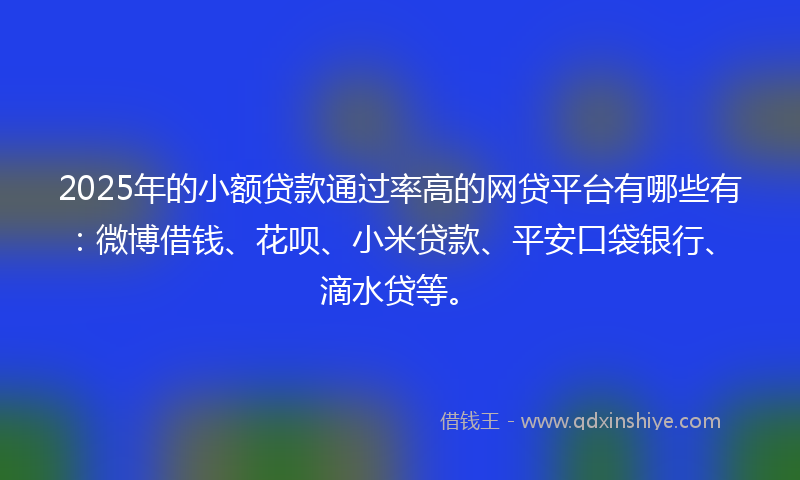 2025年的小额贷款通过率高的网贷平台有哪些有：微博借钱、花呗、小米贷款、平安口袋银行、滴水贷等。