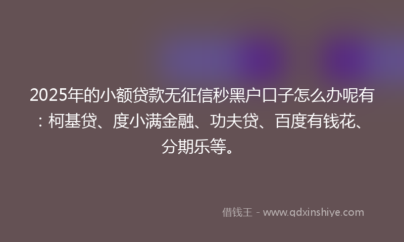 2025年的小额贷款无征信秒黑户口子怎么办呢有：柯基贷、度小满金融、功夫贷、百度有钱花、分期乐等。