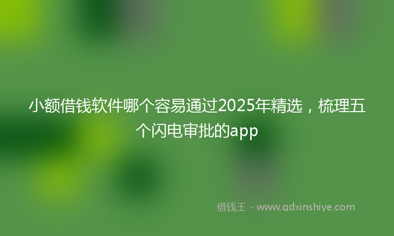 小额借钱软件哪个容易通过2025年精选，梳理五个闪电审批的app