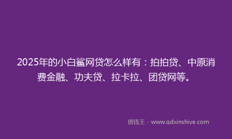 2025年的小白鲨网贷怎么样有：拍拍贷、中原消费金融、功夫贷、拉卡拉、团贷网等。