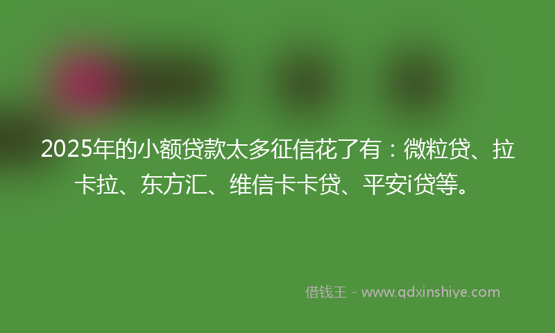 2025年的小额贷款太多征信花了有：微粒贷、拉卡拉、东方汇、维信卡卡贷、平安i贷等。