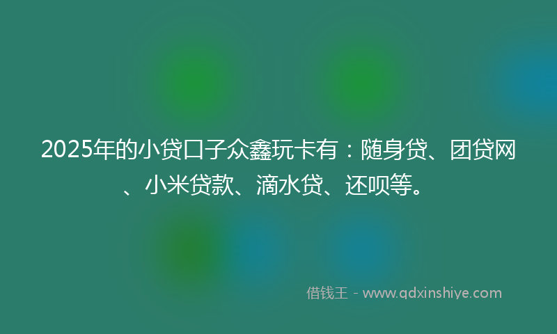 2025年的小贷口子众鑫玩卡有：随身贷、团贷网、小米贷款、滴水贷、还呗等。