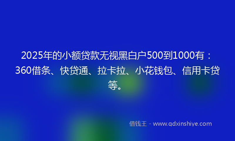 2025年的小额贷款无视黑白户500到1000有：360借条、快贷通、拉卡拉、小花钱包、信用卡贷等。