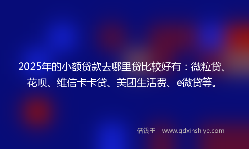 2025年的小额贷款去哪里贷比较好有：微粒贷、花呗、维信卡卡贷、美团生活费、e微贷等。