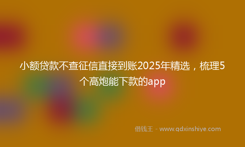 小额贷款不查征信直接到账2025年精选，梳理5个高炮能下款的app