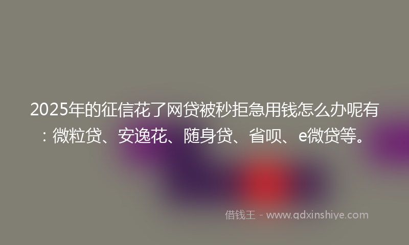 2025年的征信花了网贷被秒拒急用钱怎么办呢有：微粒贷、安逸花、随身贷、省呗、e微贷等。