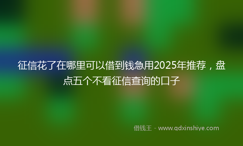 征信花了在哪里可以借到钱急用2025年推荐，盘点五个不看征信查询的口子