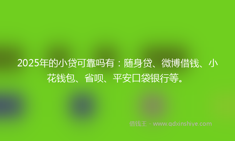 2025年的小贷可靠吗有：随身贷、微博借钱、小花钱包、省呗、平安口袋银行等。