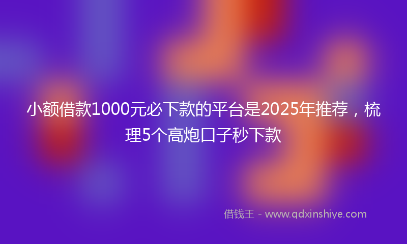 小额借款1000元必下款的平台是2025年推荐，梳理5个高炮口子秒下款