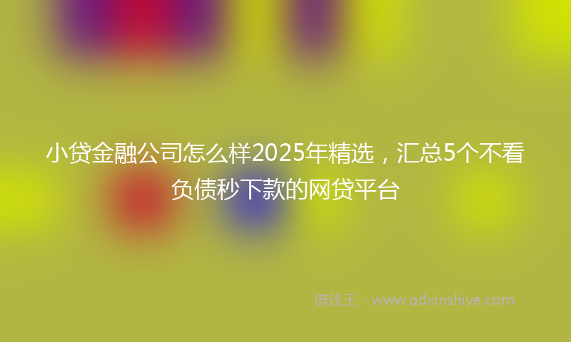 小贷金融公司怎么样2025年精选，汇总5个不看负债秒下款的网贷平台
