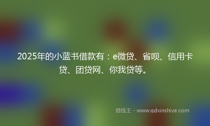 2025年的小蓝书借款有：e微贷、省呗、信用卡贷、团贷网、你我贷等。