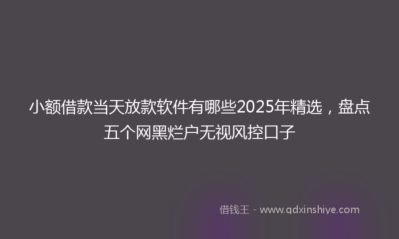 小额借款当天放款软件有哪些2025年精选，盘点五个网黑烂户无视风控口子