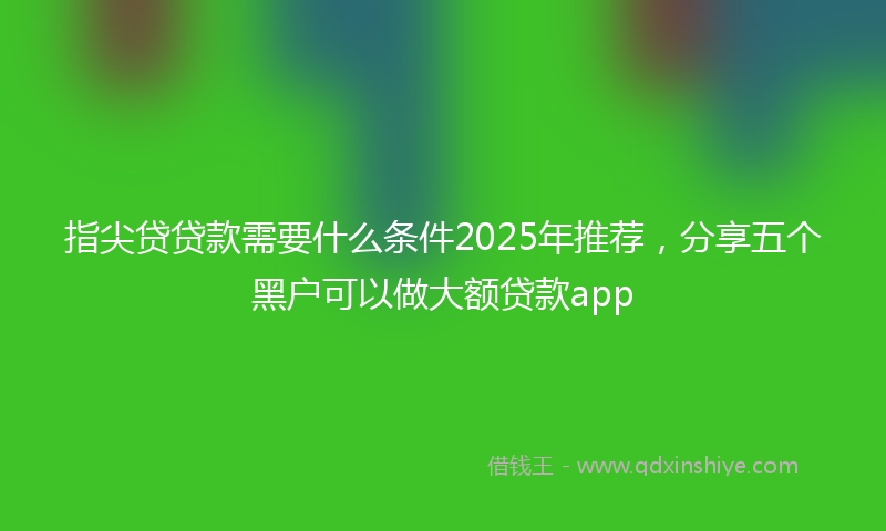 指尖贷贷款需要什么条件2025年推荐，分享五个黑户可以做大额贷款app