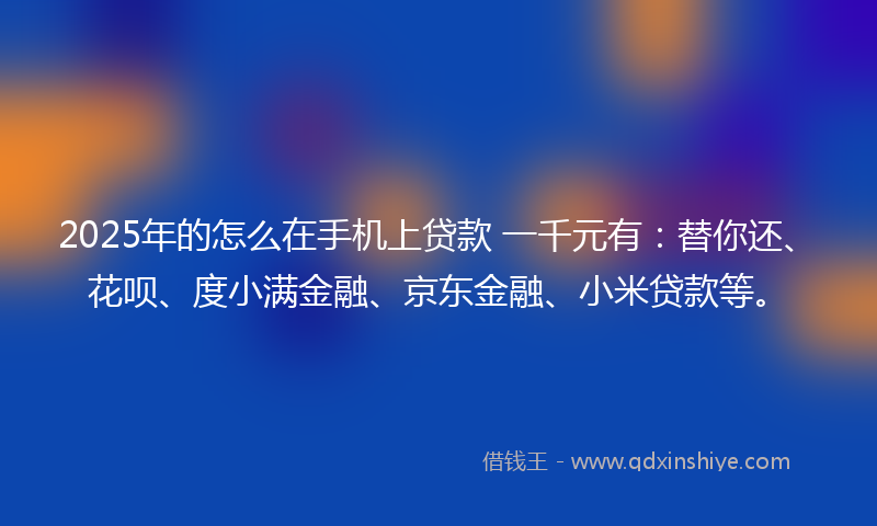 2025年的怎么在手机上贷款 一千元有：替你还、花呗、度小满金融、京东金融、小米贷款等。
