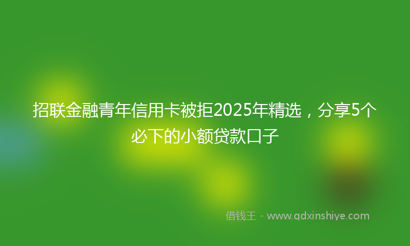 招联金融青年信用卡被拒2025年精选，分享5个必下的小额贷款口子