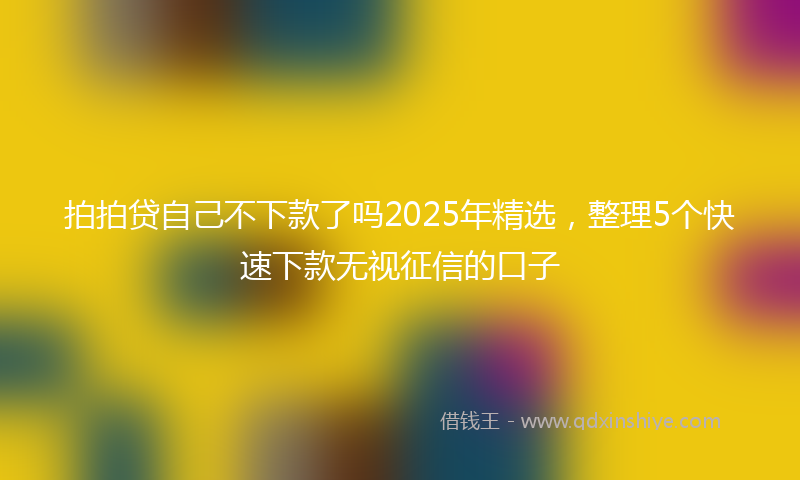 拍拍贷自己不下款了吗2025年精选，整理5个快速下款无视征信的口子