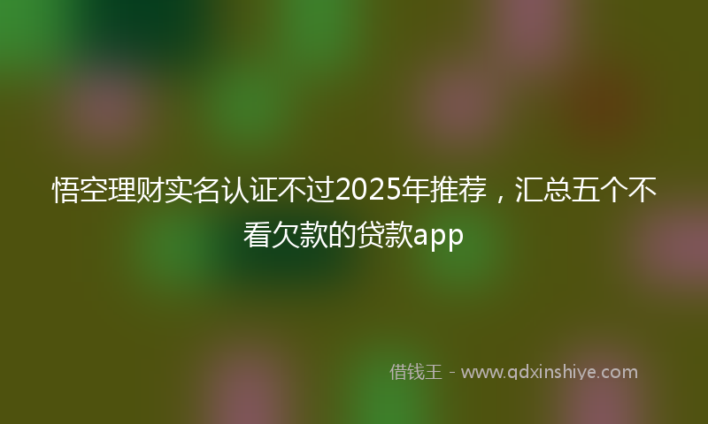 悟空理财实名认证不过2025年推荐，汇总五个不看欠款的贷款app