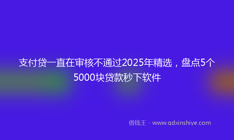 支付贷一直在审核不通过2025年精选，盘点5个5000块贷款秒下软件