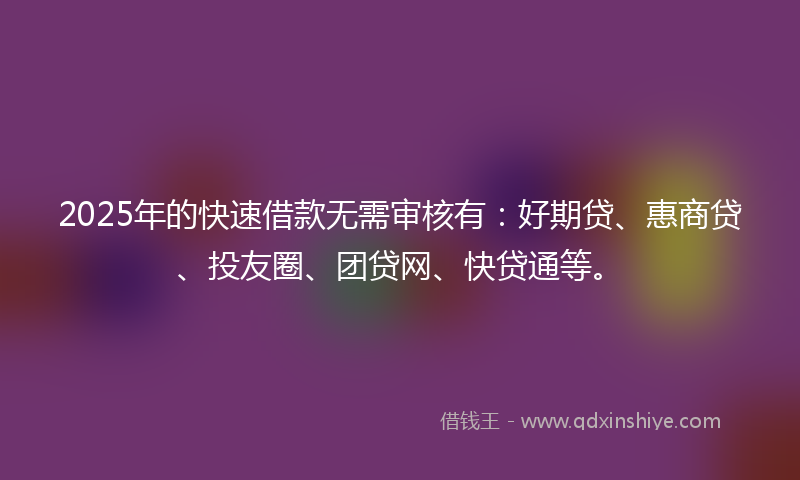 2025年的快速借款无需审核有：好期贷、惠商贷、投友圈、团贷网、快贷通等。