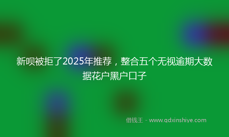 新呗被拒了2025年推荐，整合五个无视逾期大数据花户黑户口子