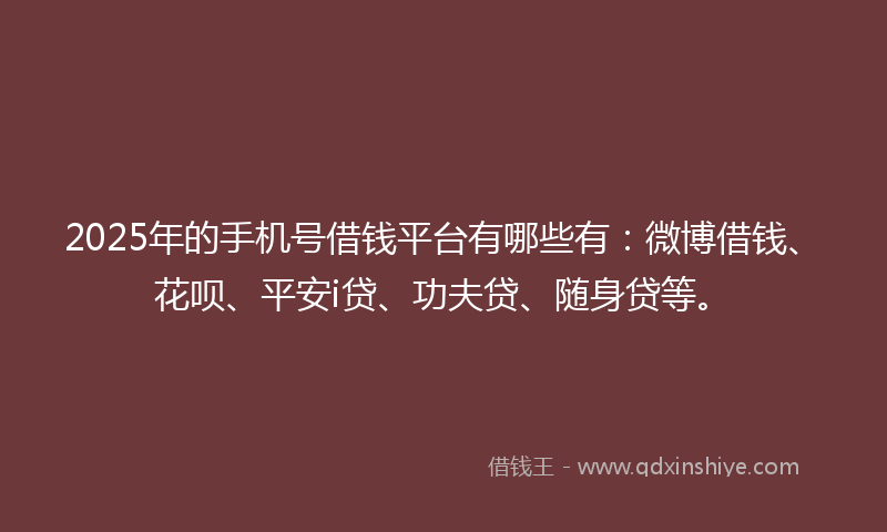 2025年的手机号借钱平台有哪些有：微博借钱、花呗、平安i贷、功夫贷、随身贷等。