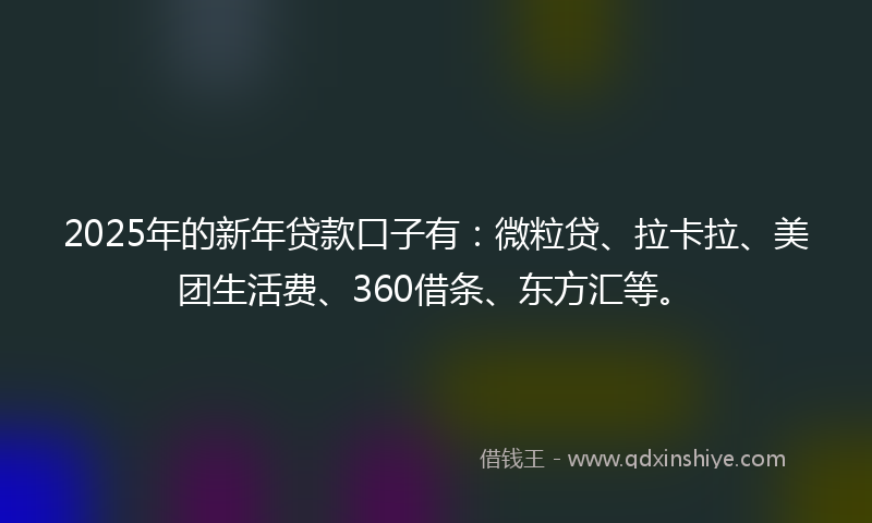 2025年的新年贷款口子有：微粒贷、拉卡拉、美团生活费、360借条、东方汇等。