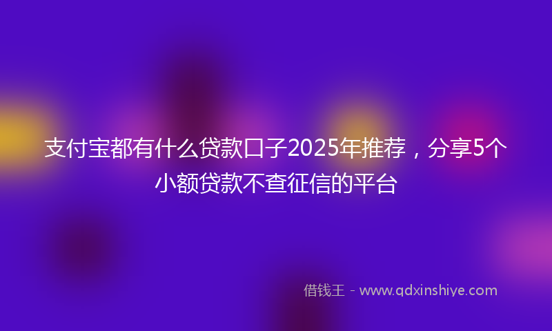 支付宝都有什么贷款口子2025年推荐，分享5个小额贷款不查征信的平台