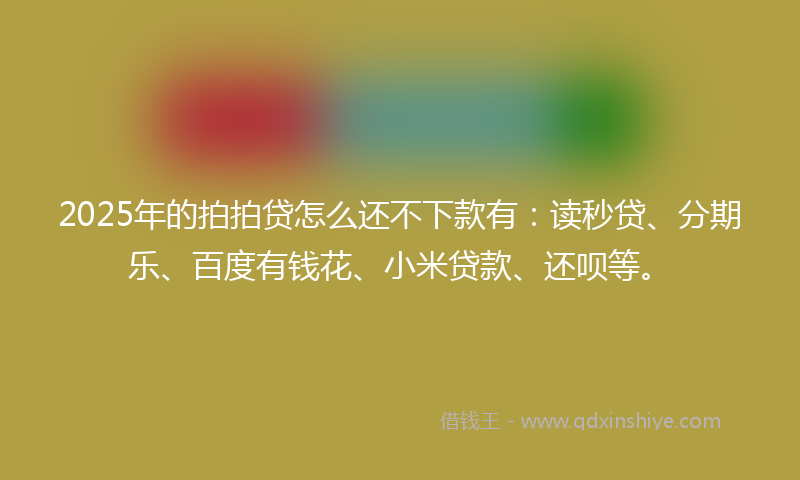 2025年的拍拍贷怎么还不下款有：读秒贷、分期乐、百度有钱花、小米贷款、还呗等。