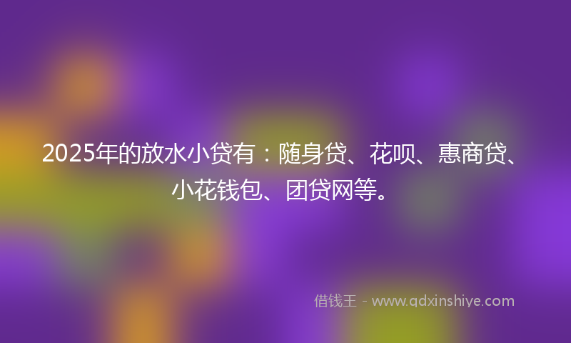 2025年的放水小贷有：随身贷、花呗、惠商贷、小花钱包、团贷网等。