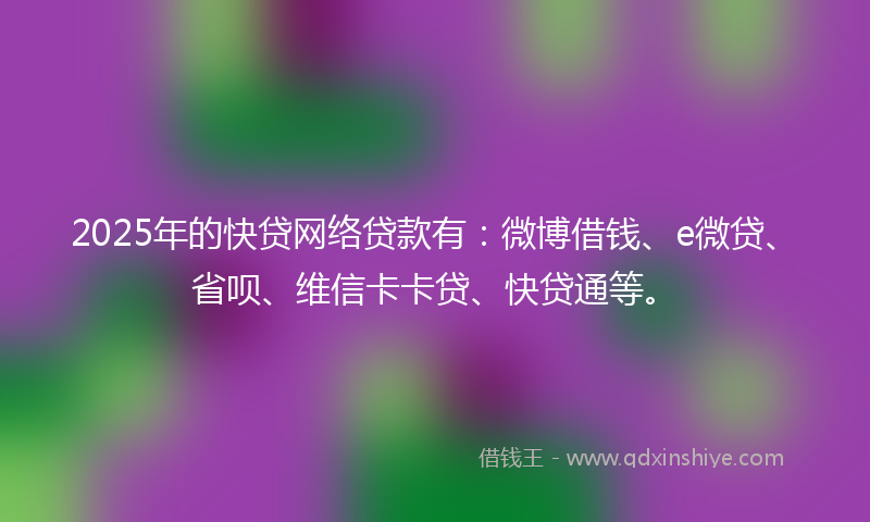 2025年的快贷网络贷款有：微博借钱、e微贷、省呗、维信卡卡贷、快贷通等。