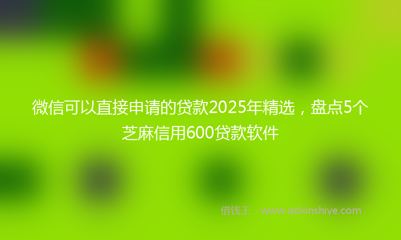 微信可以直接申请的贷款2025年精选，盘点5个芝麻信用600贷款软件