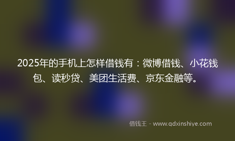 2025年的手机上怎样借钱有：微博借钱、小花钱包、读秒贷、美团生活费、京东金融等。