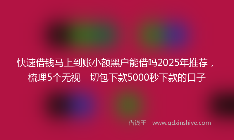 快速借钱马上到账小额黑户能借吗2025年推荐，梳理5个无视一切包下款5000秒下款的口子