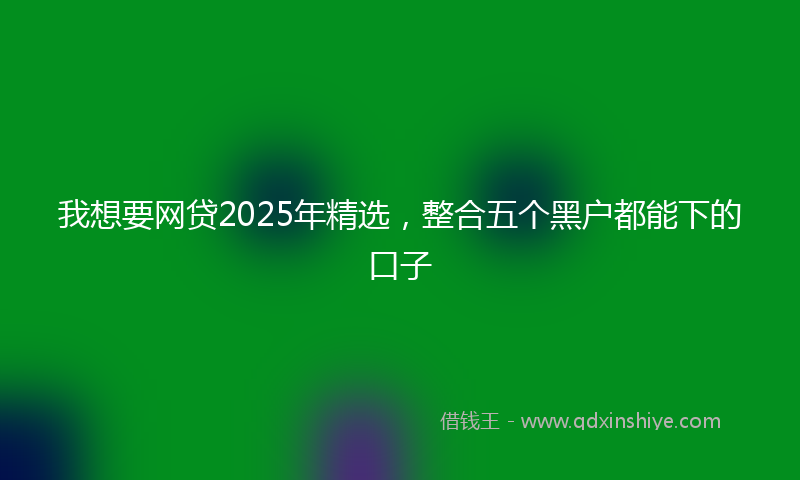 我想要网贷2025年精选，整合五个黑户都能下的口子