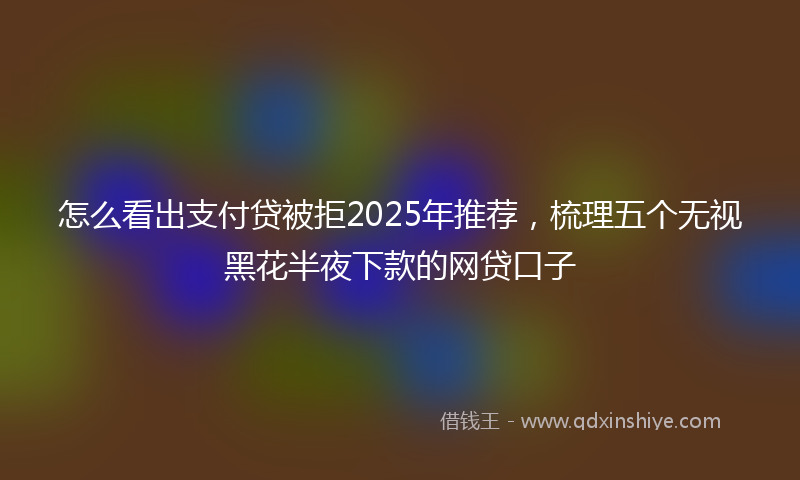 怎么看出支付贷被拒2025年推荐，梳理五个无视黑花半夜下款的网贷口子