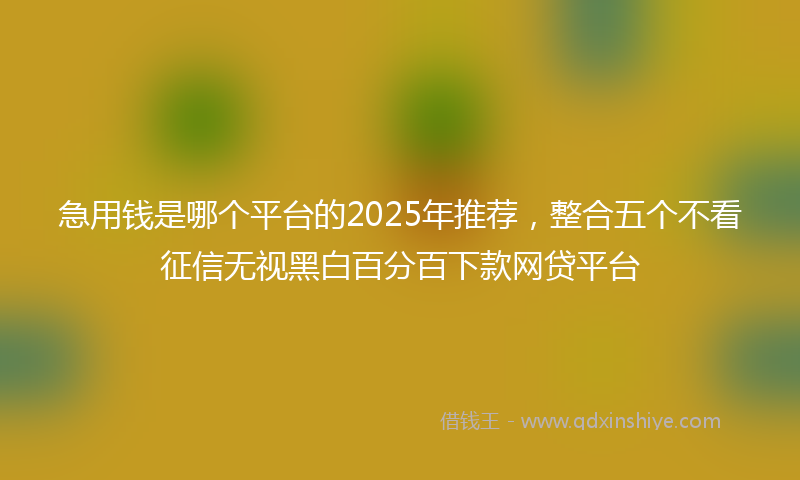 急用钱是哪个平台的2025年推荐，整合五个不看征信无视黑白百分百下款网贷平台