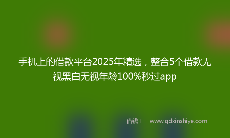 手机上的借款平台2025年精选，整合5个借款无视黑白无视年龄100%秒过app
