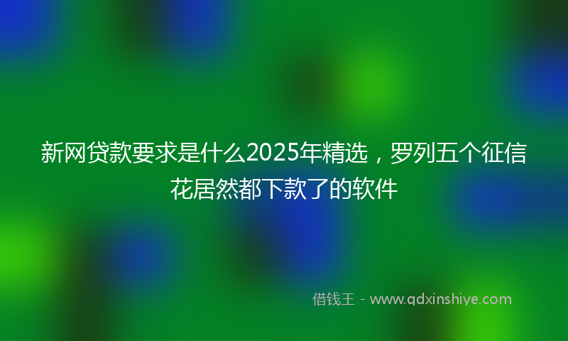 新网贷款要求是什么2025年精选，罗列五个征信花居然都下款了的软件